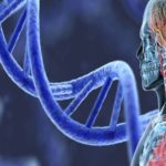 The Beauty Portal- A&P Level 4